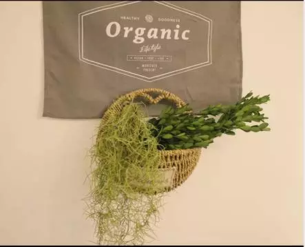 你的家配電箱，所以裝修很漂亮！